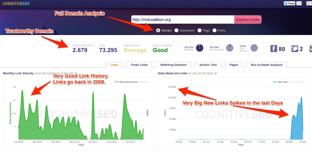 Backlink Explorer Exmaple