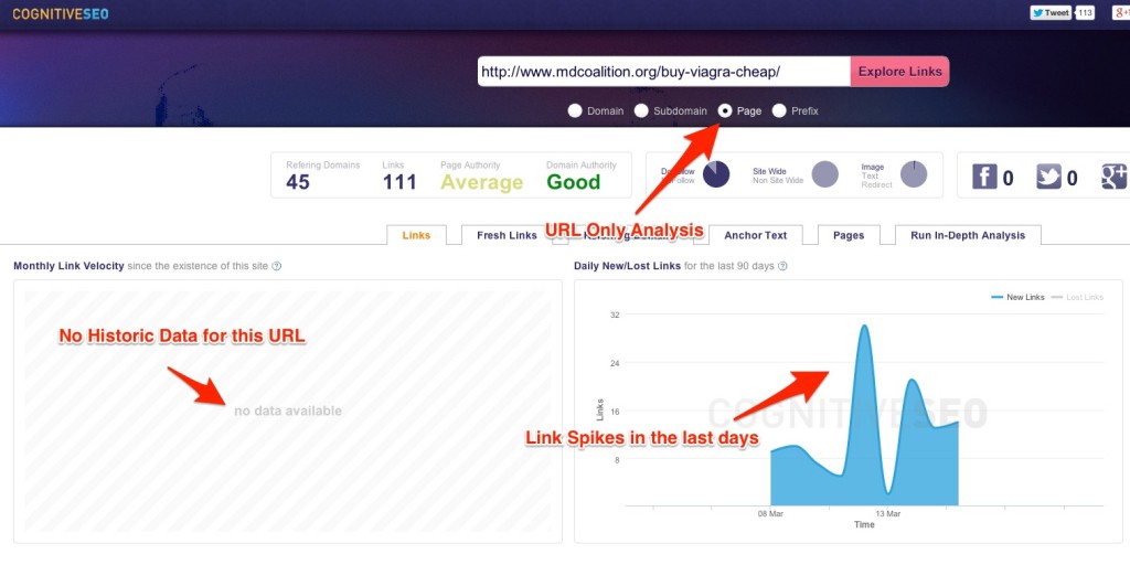 Backlink Explorer Exmaple