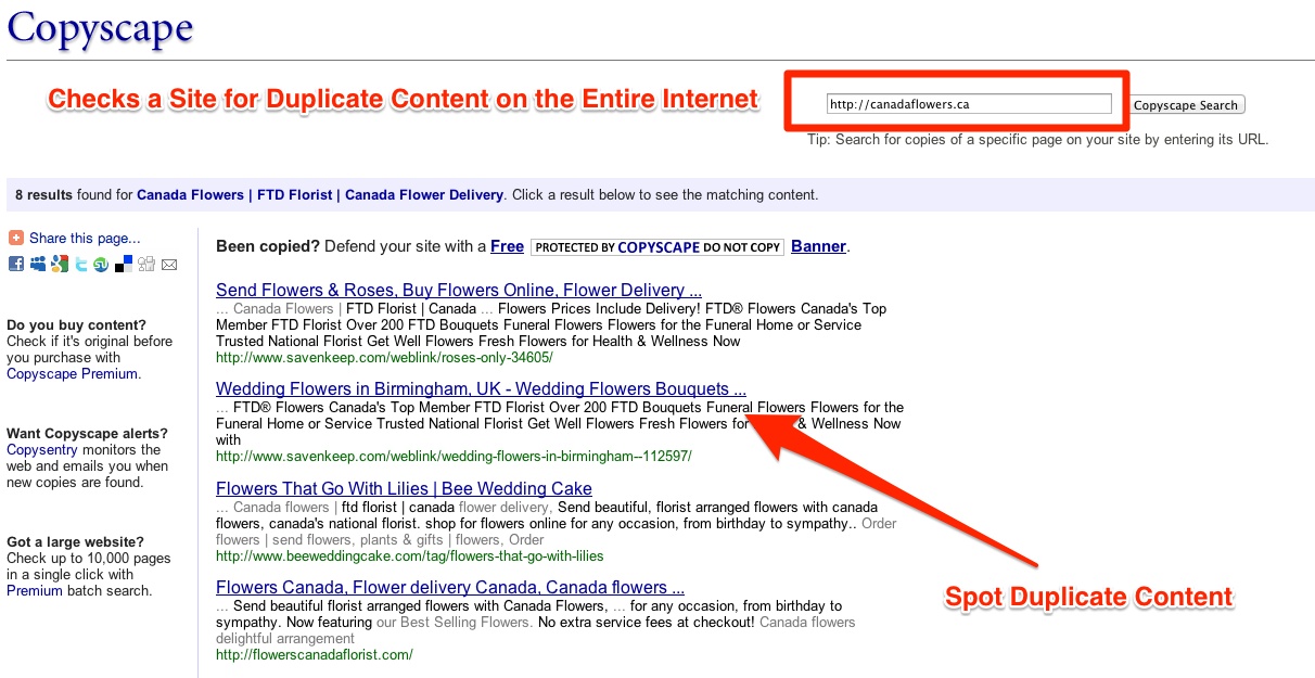 Check a Page for Duplicate Content Across the Entire Internet
