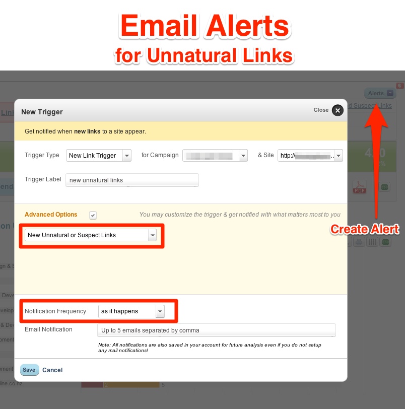 Email Alerts Unnatural Links