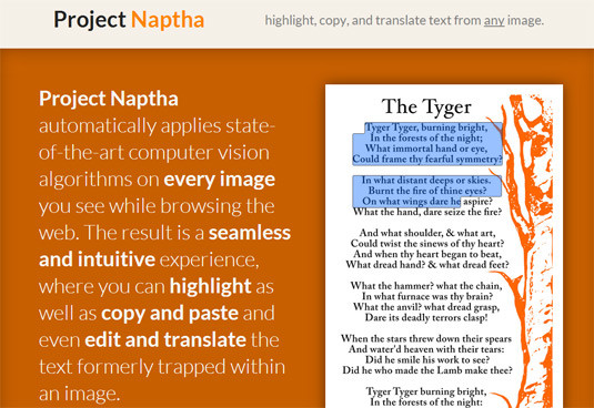 Project-Naptha-Extension.jpg