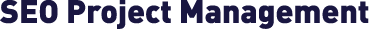 SEO Project Management
