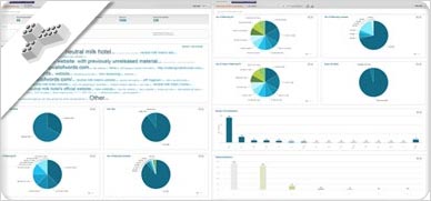 Fast Backlink Reports generated using cognitiveSEO