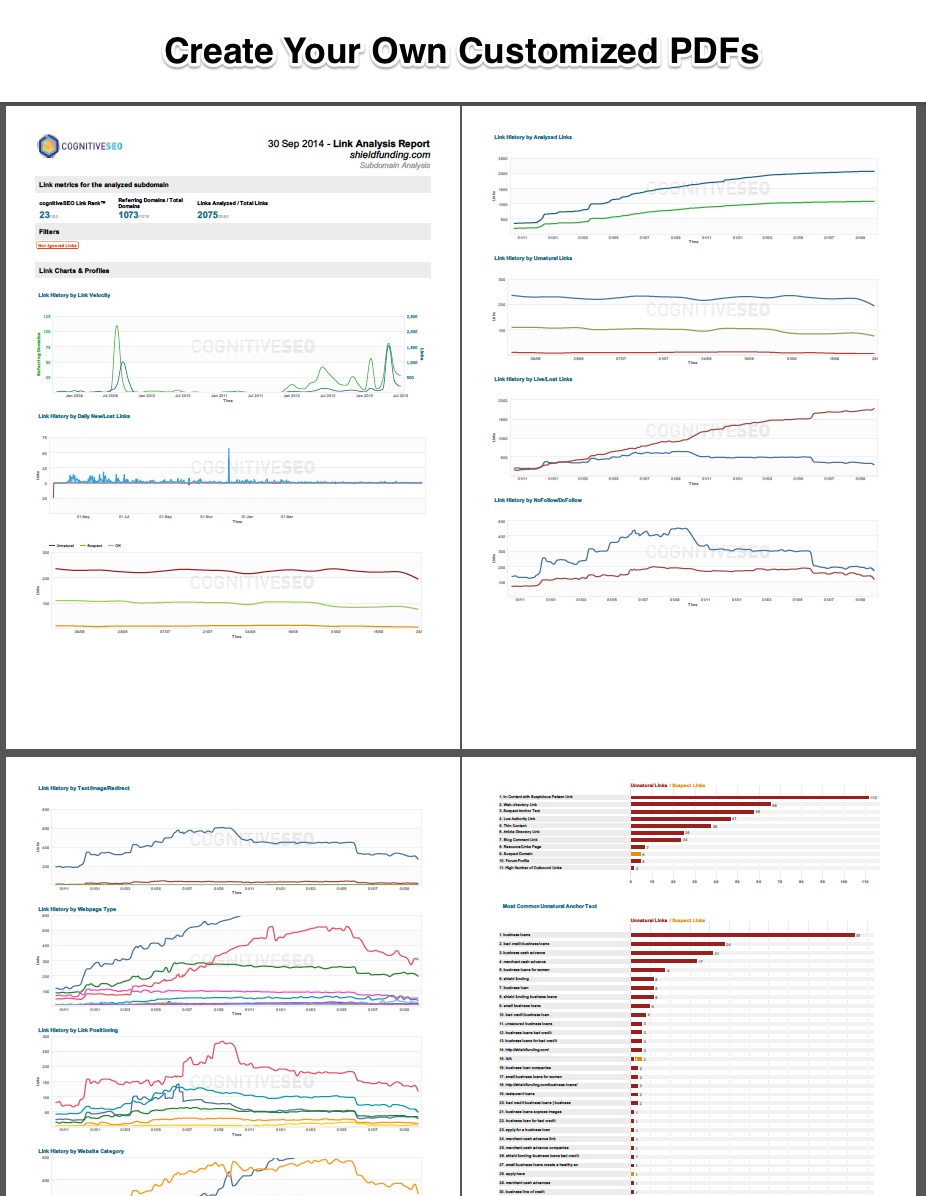 Create Customized PDFs Export cognitiveSEO