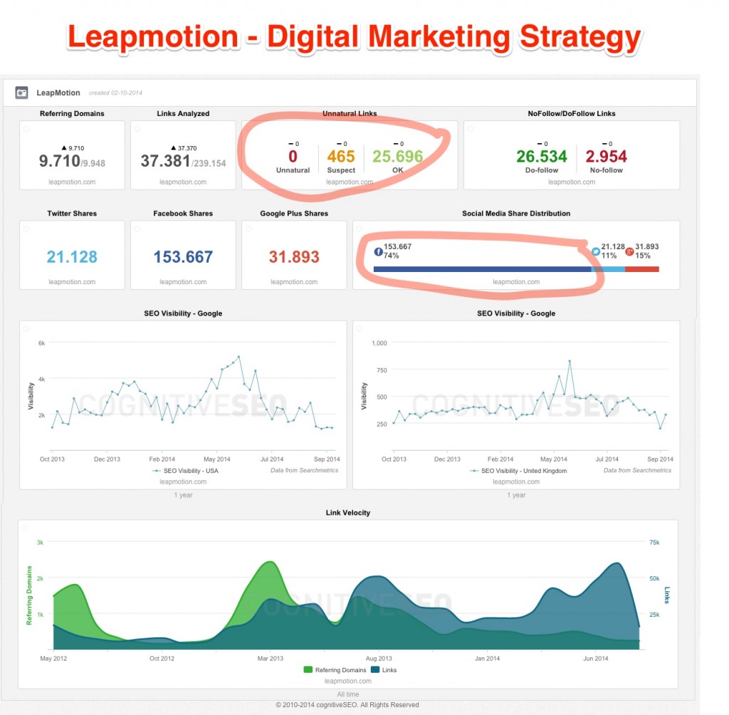 Leapmotion Digital Marketing Strategy Leapmotion Digital Marketing Strategy