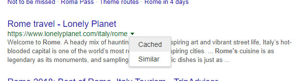 Cached website in SERP