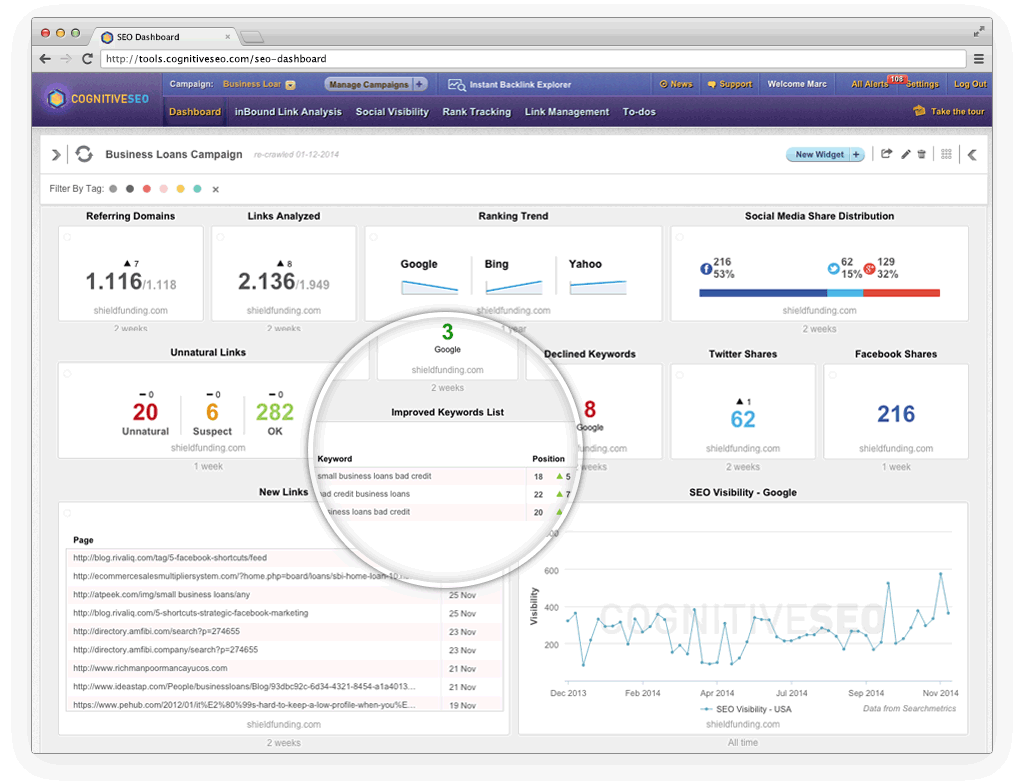 Get Essential Data for Your Business at a Glance